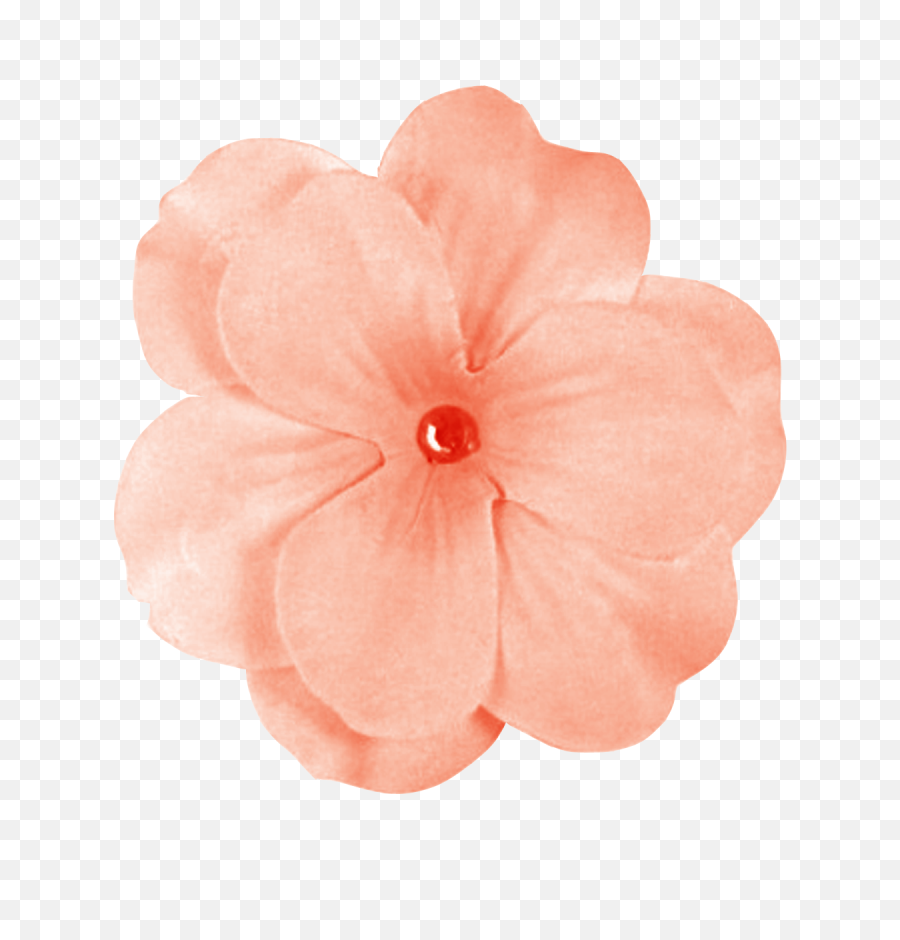 Download Peach Flowers Png Banner Black - Purple Flowers Flower Transparent Png,Peach Transparent Background