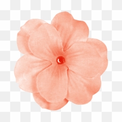Download Peach Flowers Png Banner Black - Purple Flowers Flower Transparent Png,Peach Transparent Background