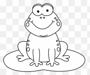 Free Cartoon Frog Transparent PNG
