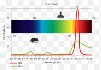 Vivarium Lab Lighting - Plot png