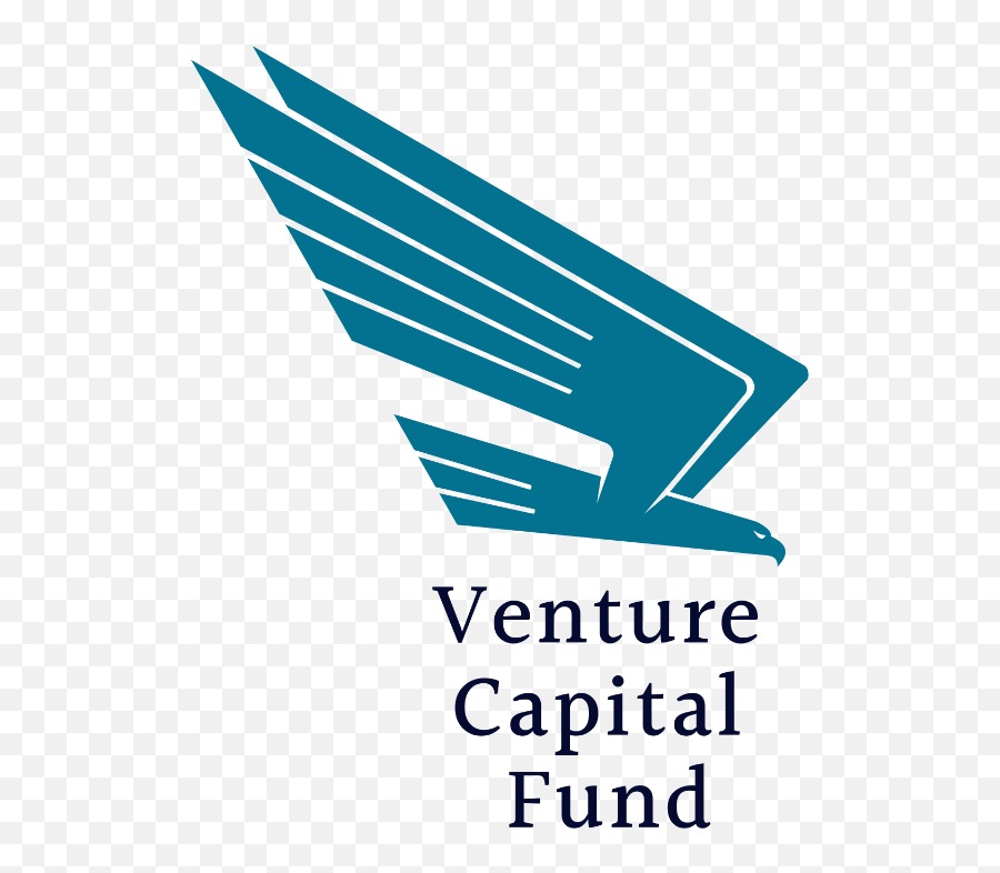 Venture Capital Program - Hccf Language Png,Venture Capital Icon