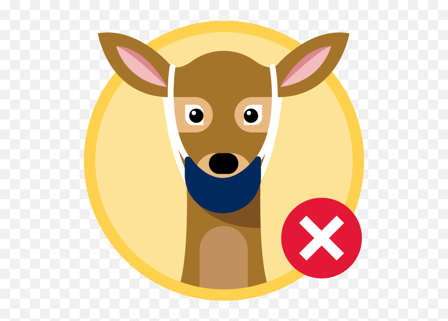 How To Wear A Mask Utmtogether - Deer Wearing A Mask Png,Dearest Deer Icon