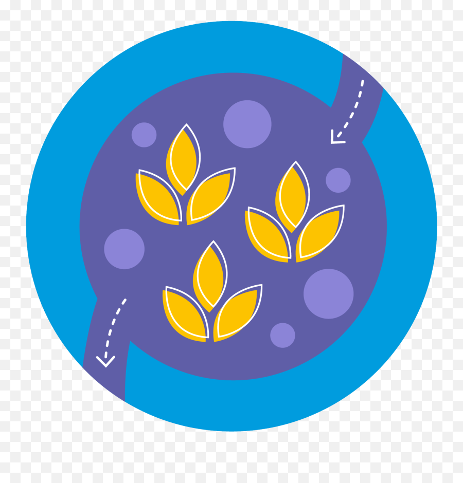 Fibre And Digestion Kelloggu0027s - Dot Png,Digestion Icon