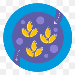 Fibre And Digestion Kelloggu0027s - Dot png