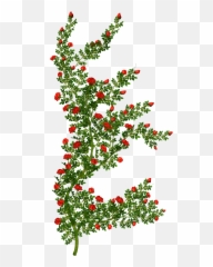 Bushes Clipart Transparent Flower Picture 139971 - Cartoon Rose Png