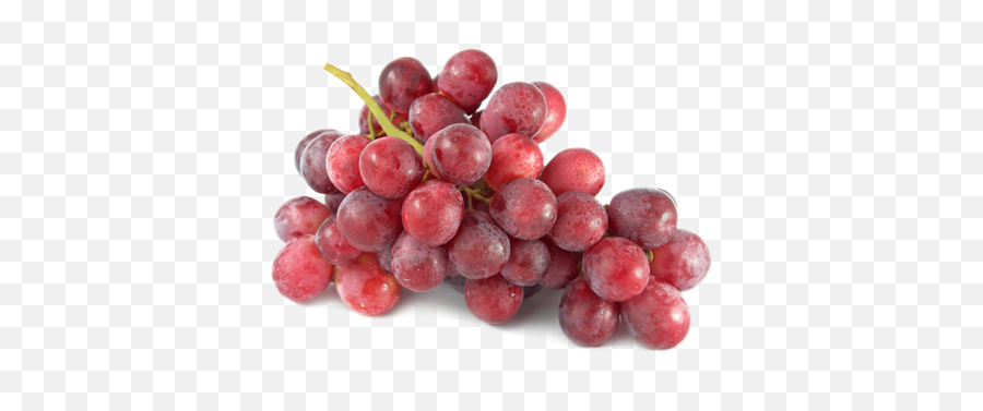 Red Grapes Transparent U0026 Png Clipart Free Download - Ywd Australian Red Seedless Grapes,Grapes Png