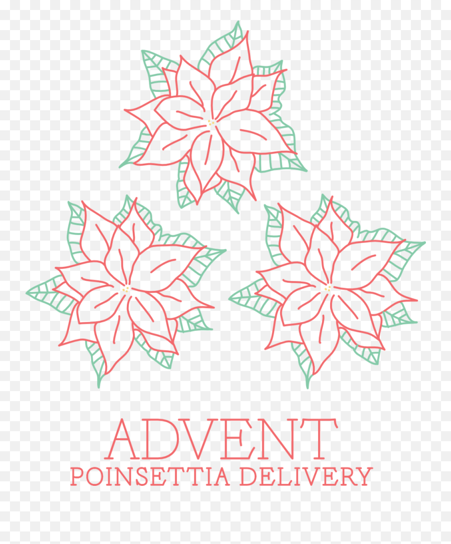 Advent Poinsettia Delivery Trinity - Illustration Png,Poinsettia Png
