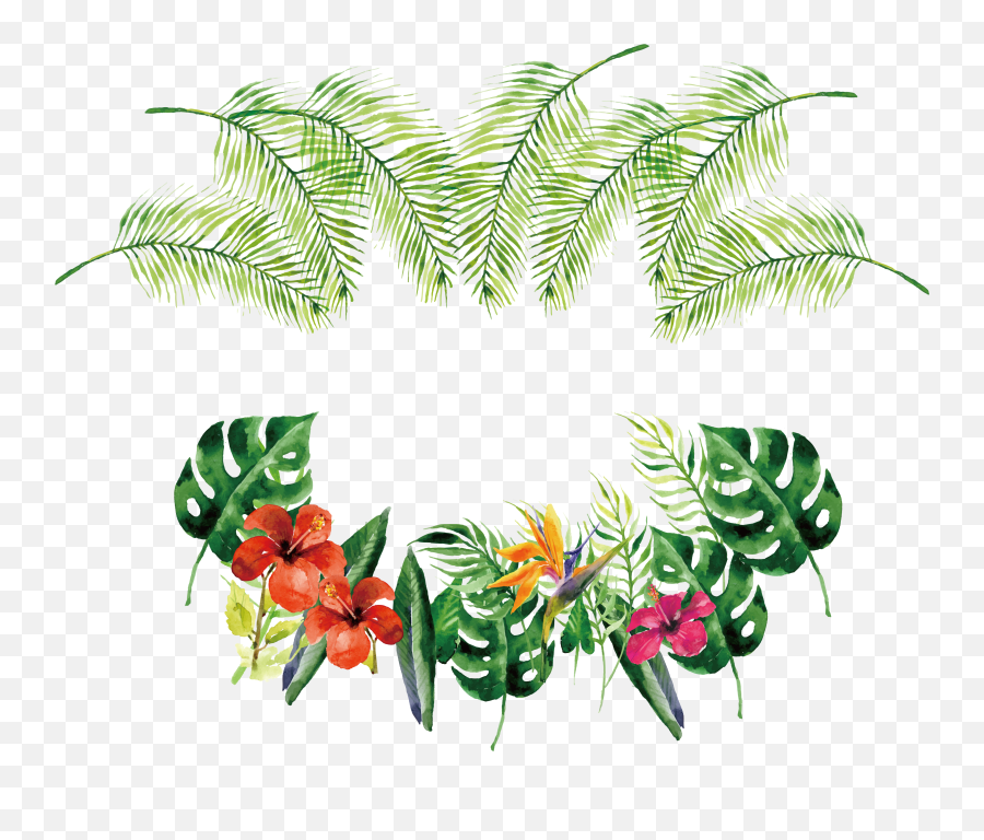 Flower Euclidean Vector Rose Icon - Vector Tropical Plants Png,Tropical Plants Png