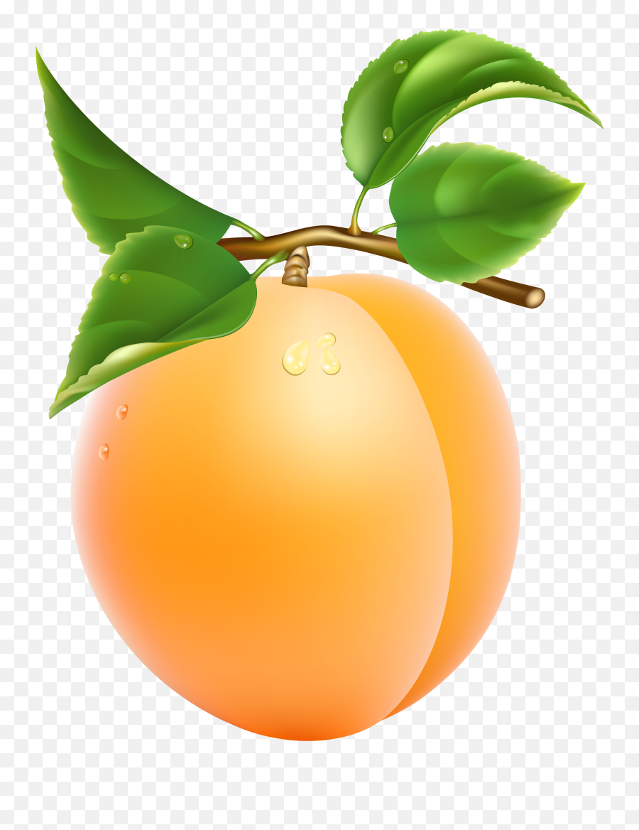 Fruit Clipart Png Picture - Apricot Clipart Png,Free Transparent Clipart