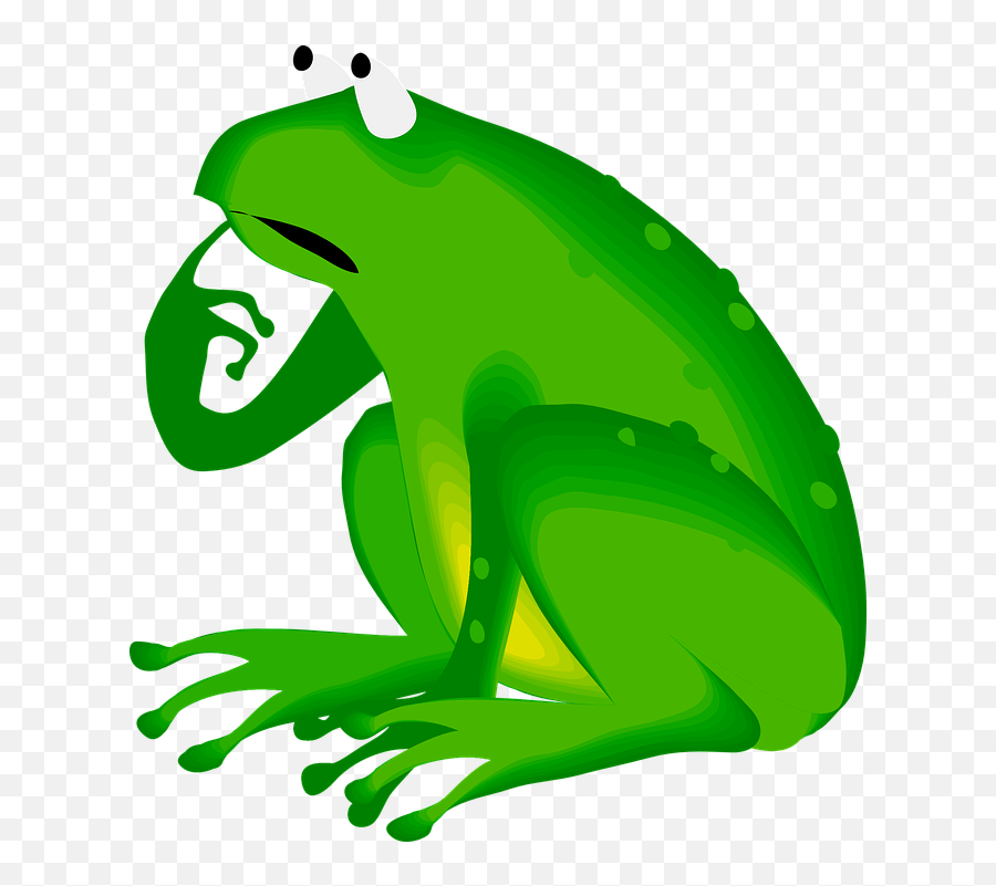 Frog Graphics Png U0026 Free Graphicspng Transparent - Happy Belated Birthday Frog,Frog Clipart Png