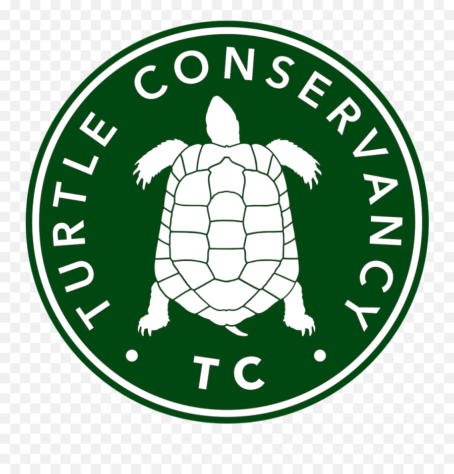 Turtle Conservancy U2014 Turtles In Trouble - Turtle Conservancy Png,Tortoise Png