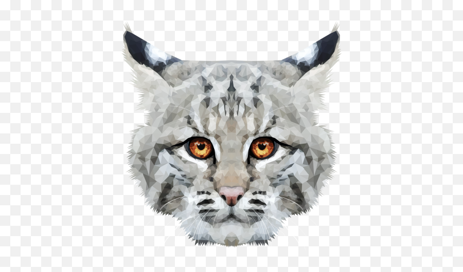 Tumblr - Snow Leopard Png,Bobcat Png