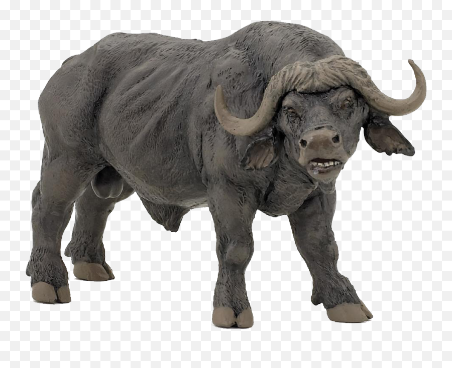 African Buffalo Png Free Download - Buffalo Toy,Buffalo Png