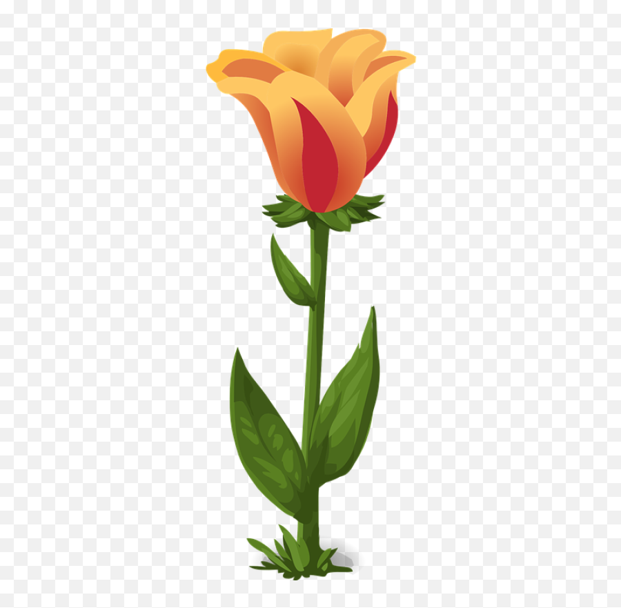 Png Bunga Tulip - Plantas Con Flores Y Hojas,Bunga Png