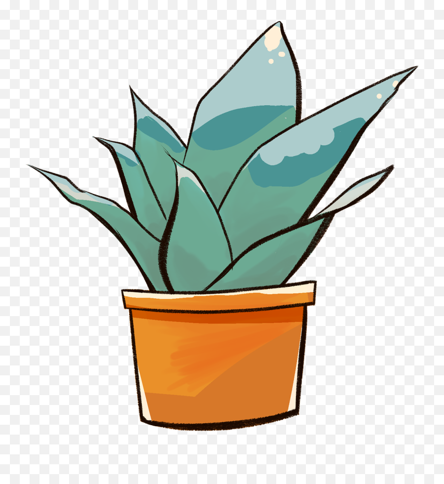 Plant Houseplant House - Agave Azul Png,Indoor Plant Png