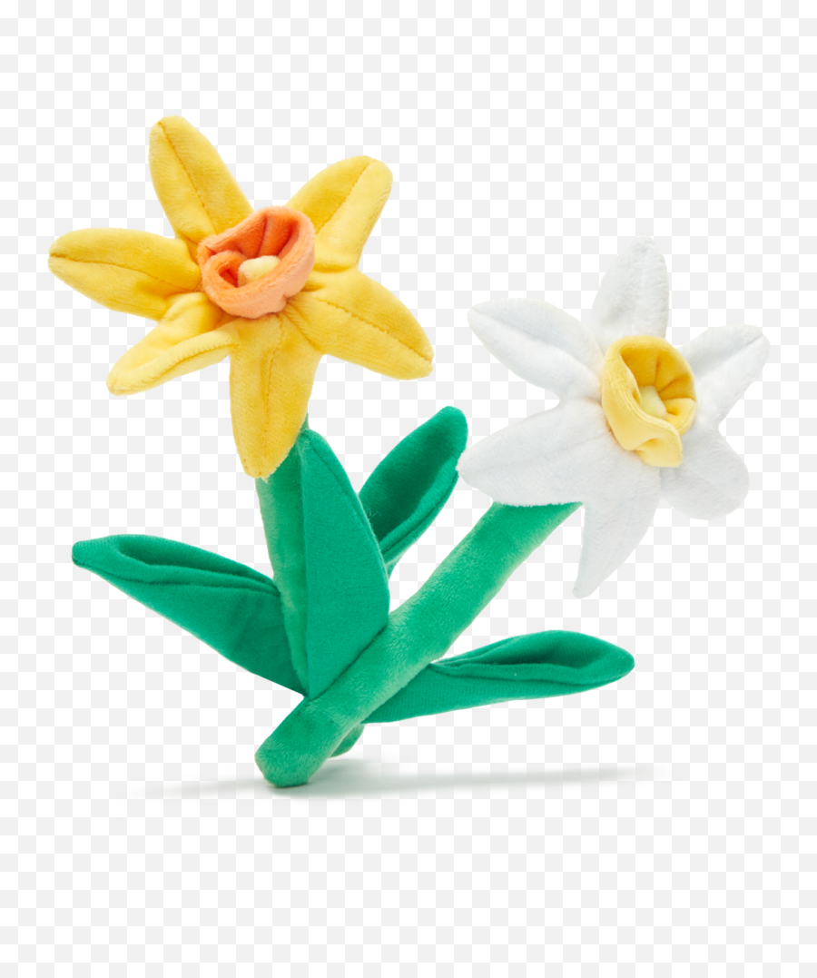 Dilly - Dally Daffodils U2013 Barkshop Lovely Png,Daffodil Png