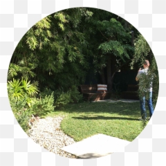 Projects U2014 Landscapology Landscape Architecture Png Landscaping