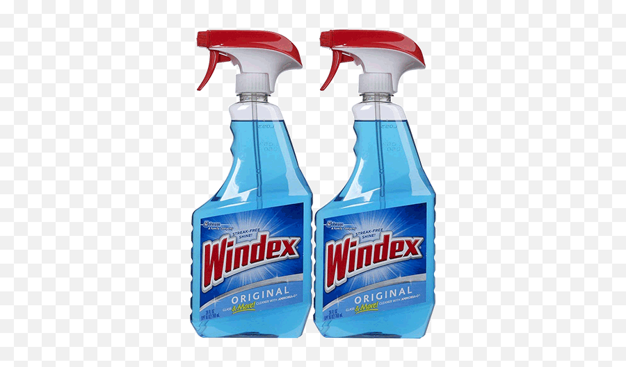 The Best Window Cleaner Of 2020 - Spray Windex Png,Windex Png
