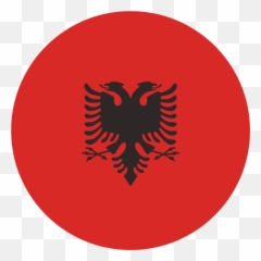 Adobe Flash Round Icon - Vertical png