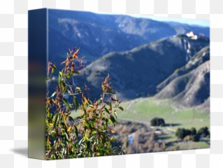 Rolling Hills Green Grass And Trees In California By Justin Bradley - Station png