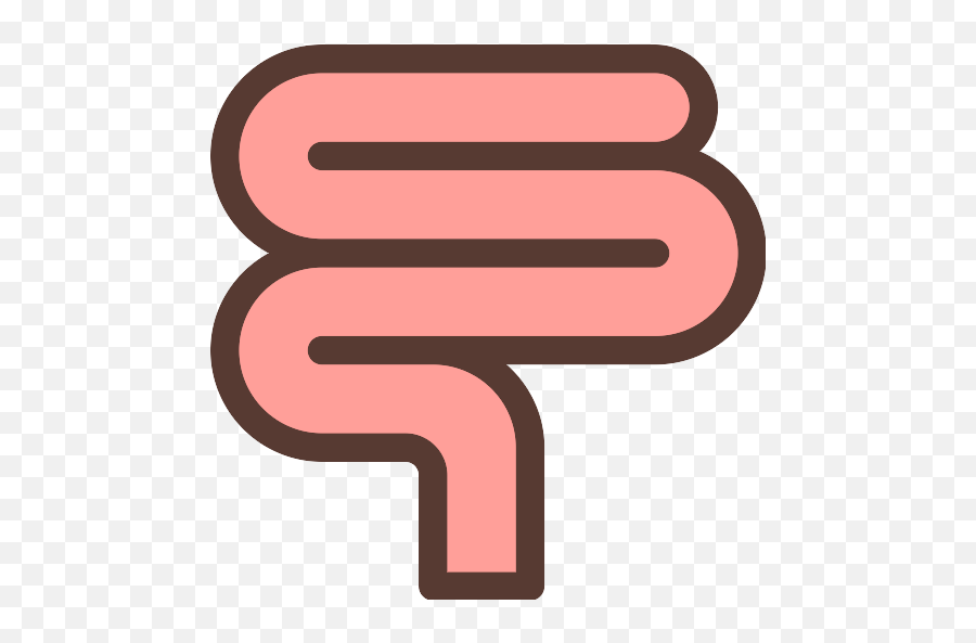 Intestine Vector Svg Icon - Intestino Png Animado,Intestine Icon