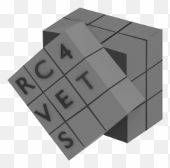 Explanation For Rc4vets Imagotype Icon - Solid Png,Explanation Mark Icon