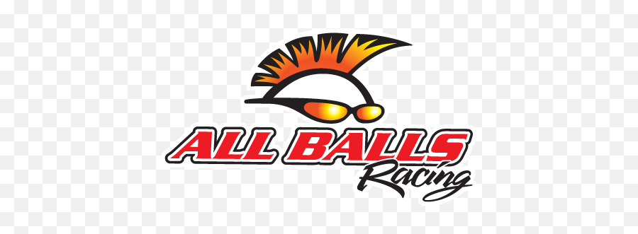 All Balls Wheel Bearing And Seal Kit Chapmotocom - All Balls Racing Png,Buck Icon R6