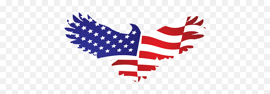 Cropped - Faviconminpng U2013 American Ac Services Llc American Flag Eagle Symbol,Fav Icon Size