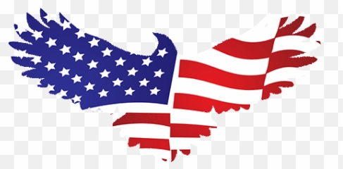 Cropped - faviconminpng u2013 American AC Services LLC Flag Eagle Symbol