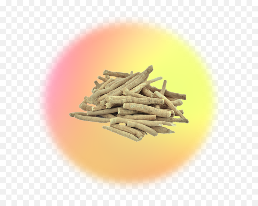 Research Landing Page U2013 Moment Drink Your Meditation - Ashwagandha Roots Png,Moments Icon