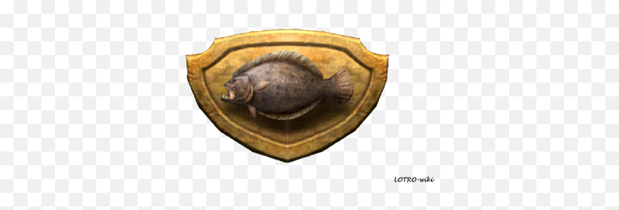 Itemfantastic Flounder Trophy - Lotrowikicom Fishing Lotro Trophies Png,Flounder Png