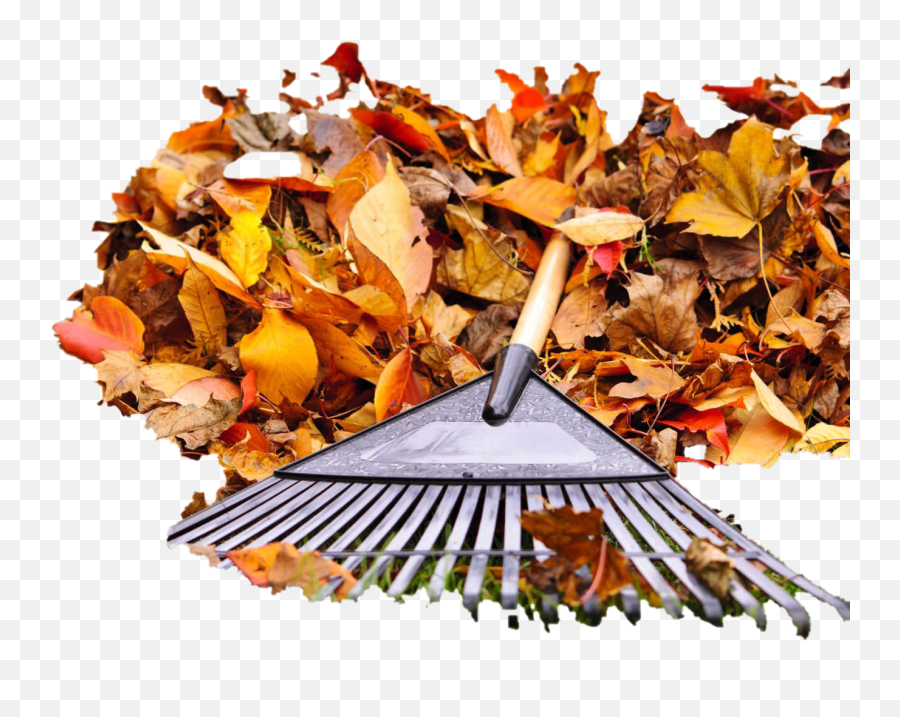 Pile Of Autumn Leaves Png Pic Mart - Cleaning Leaves,Rake Png