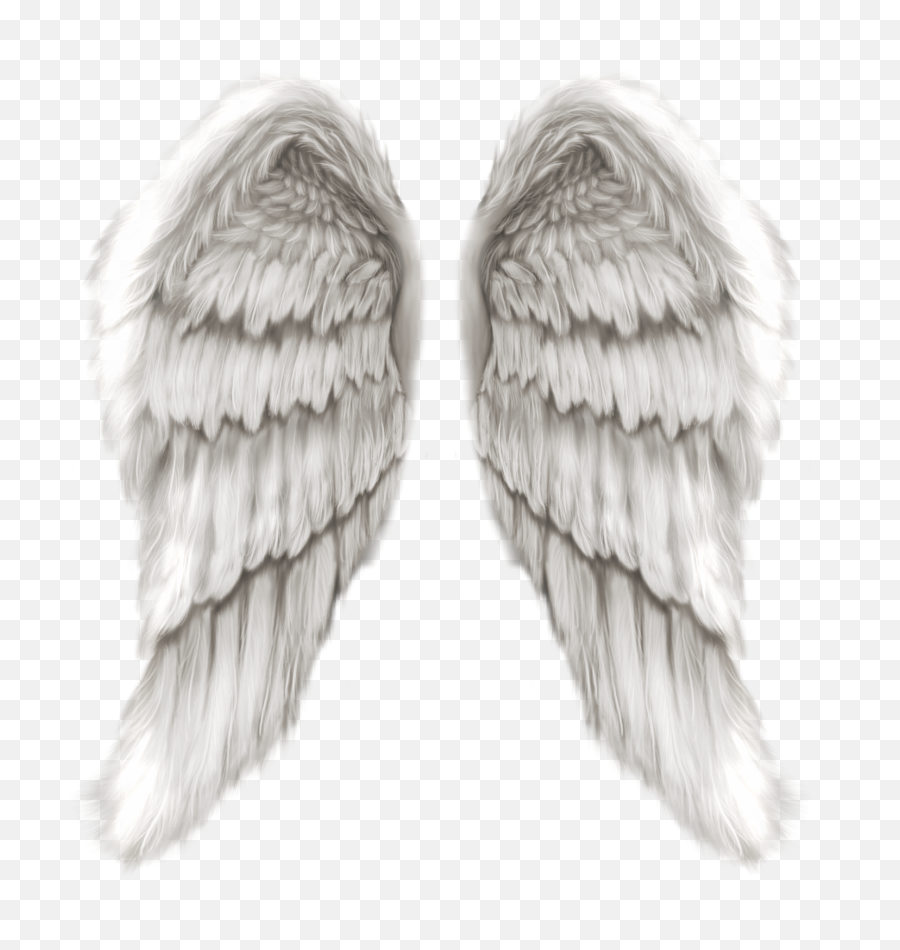 Realistic Angel Wings Png Wing - Angel Wings Png,Angel Halo Png