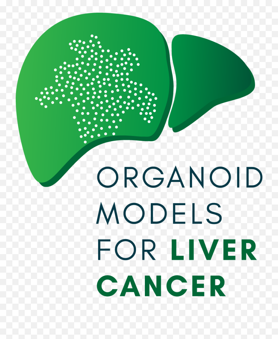 Organoid Models For Liver Cancer - Sunny Shores Dental Png,Cancer Logos
