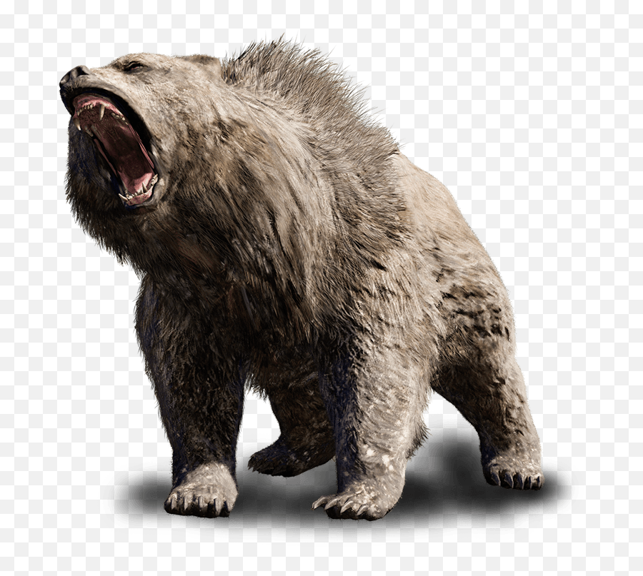Bear Download Transparent Png Image Arts - Far Cry Primal Cave Bear,Bear Transparent