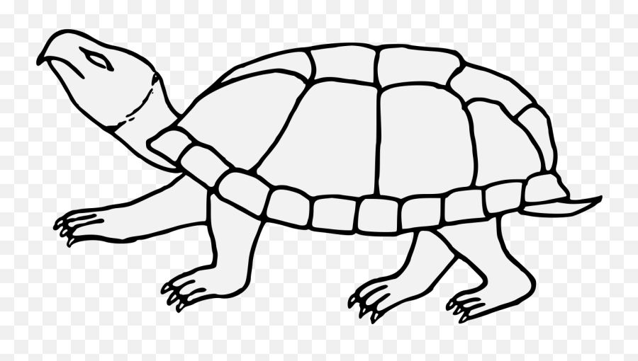 Tortoise - Traceable Heraldic Art Line Art Png,Tortoise Png