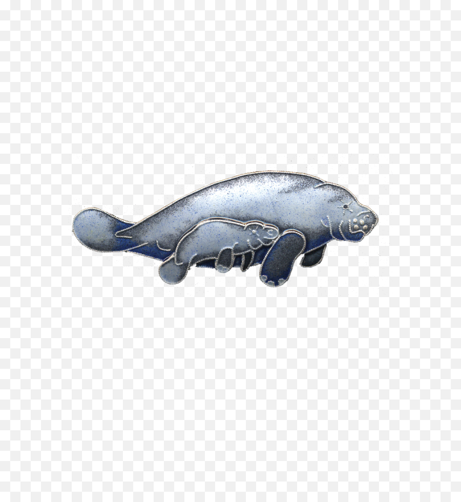 Download Manatee Calf Pin - Blue Whale Png,Manatee Png