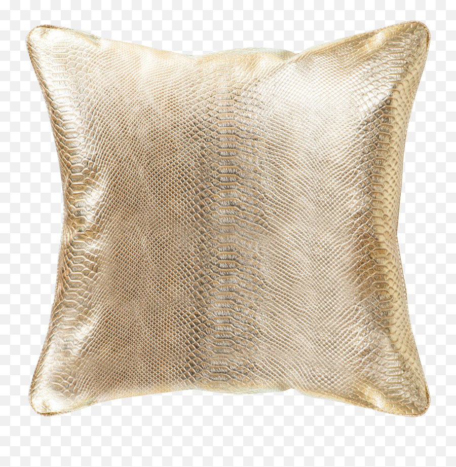 Pasargad Home Vicenza Gold Leather Pillow Chairish Png Flare