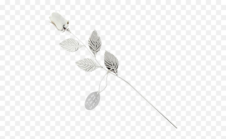 Silver - Plated White Rose Twig Png,White Rose Transparent