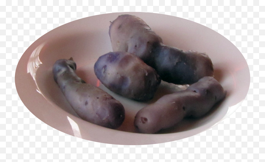 Plato De Papas Azules Hervidas - Fingerling Potato Png,Plato Png