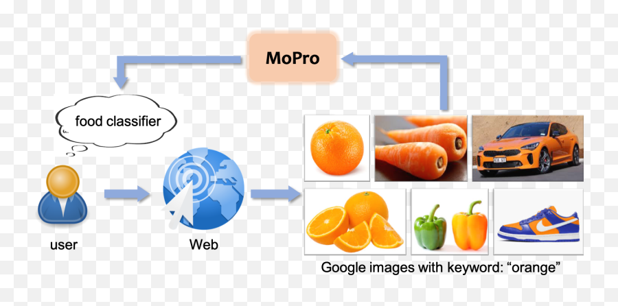 Webly Supervised Learning With - Baby Carrot Png,Webly Logo