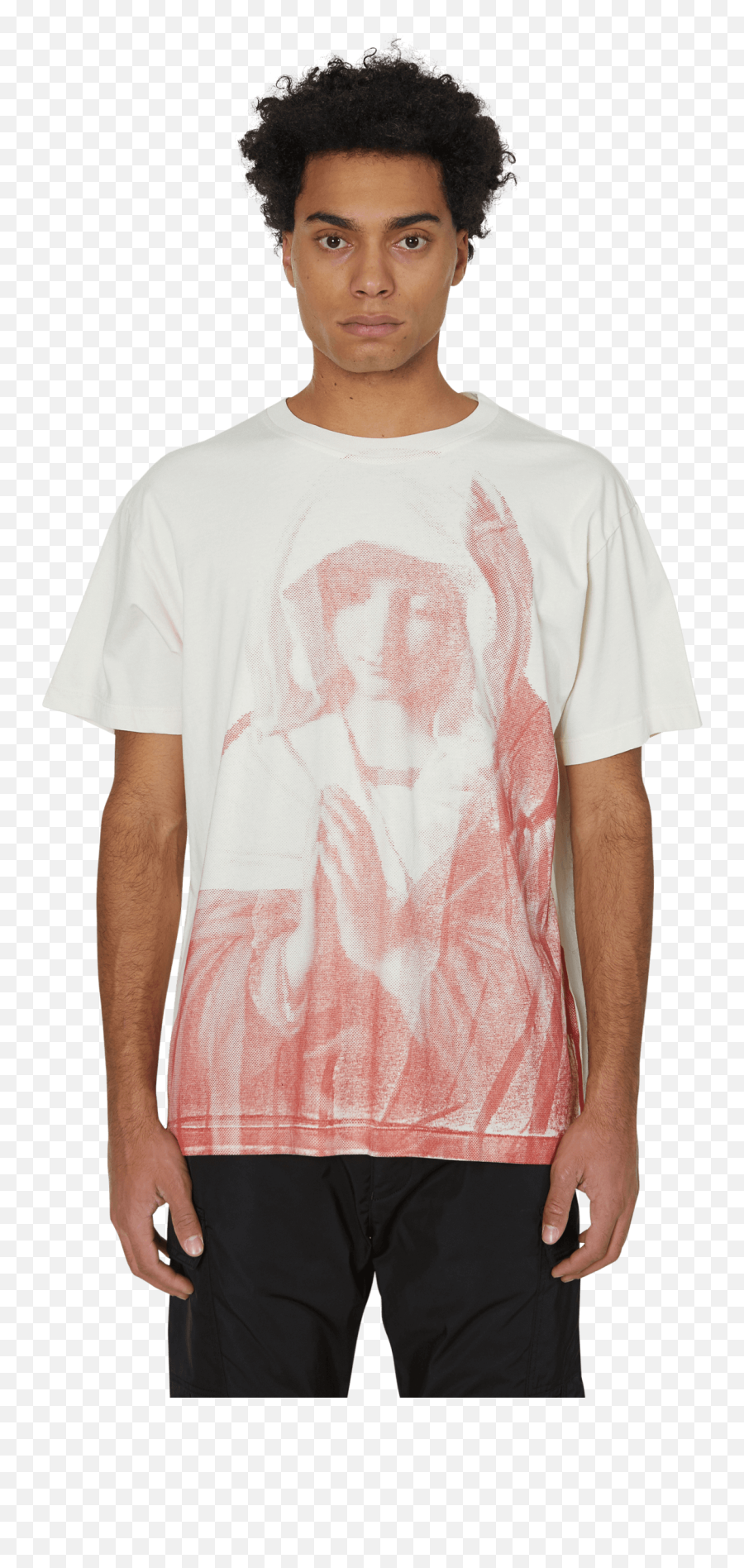 Mary Tour T - Shirt T Shirt 424 Mother Mary Png,Virgin Mary Png