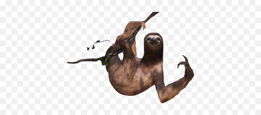 Sloth Png Images - Free Png Library North American River Otter,Sloth Png