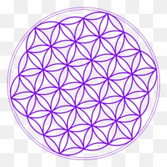 Life Transparent Download Png Files - Se Holistico,Flower Of Life Png