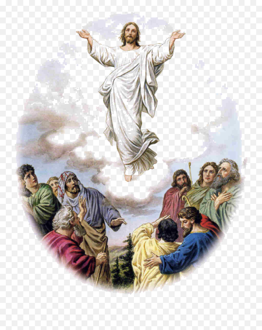 How Reformed Theology Attacks The Ascension Of Christ - Jesus Ascension Of The Lord Png,Christ Png