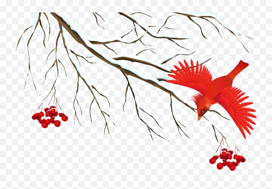 Mq - Transparent Background Winter Clipart Free Png,Red Bird Png