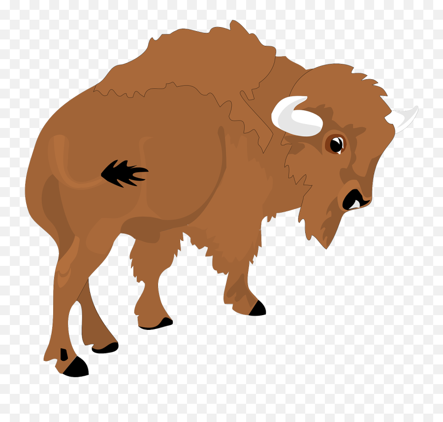Bison View Large - Bison Clipart Png,Bison Png