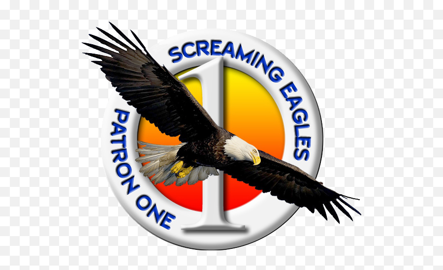 Filepatrol Squadron 1 Us Navy Insignia 2015png - Vp 1 Screaming Eagles,Screaming Png