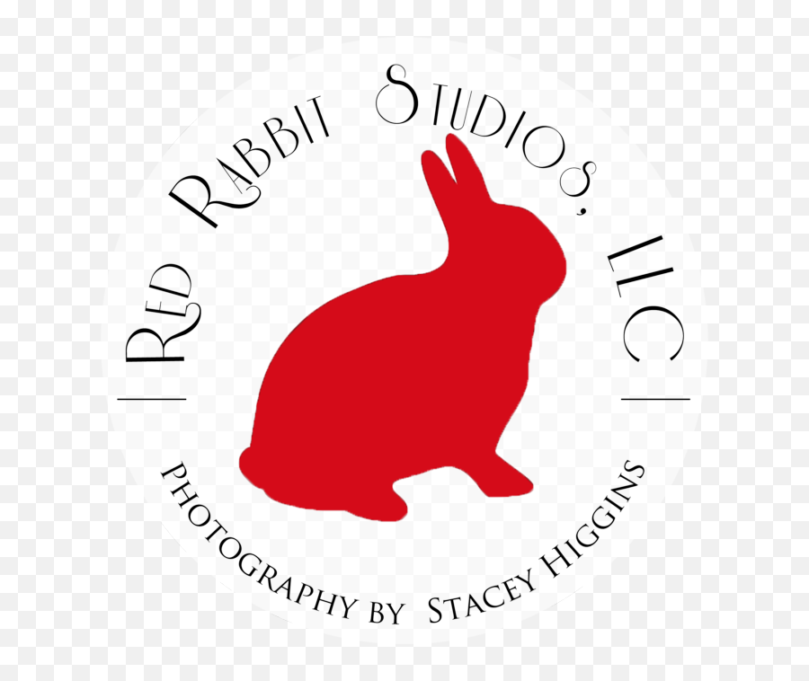 Red Rabbit Logo - Rabbit Png,Rabbit Logo