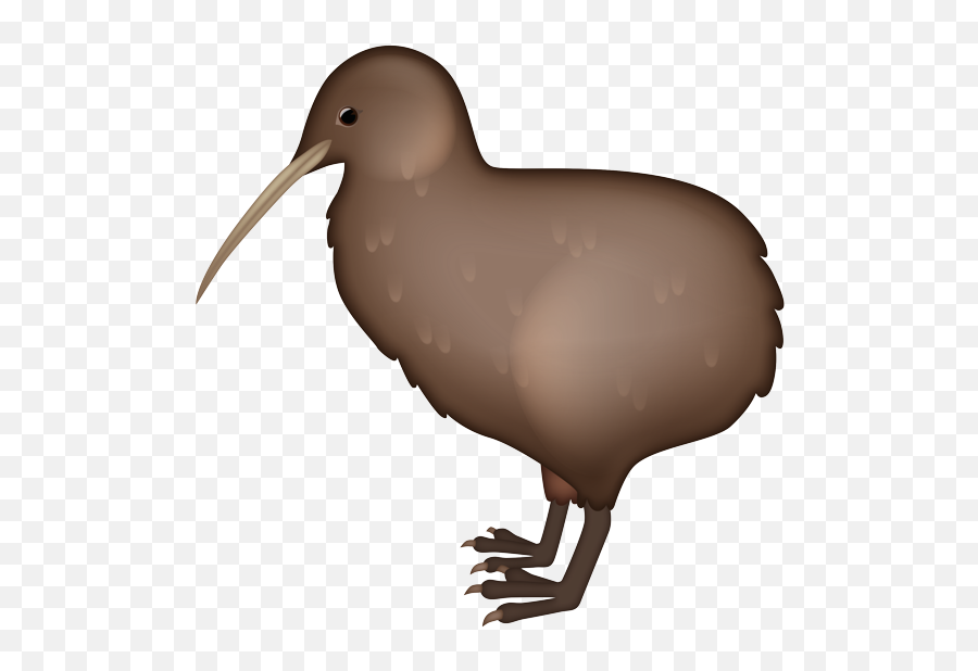 Kiwi Bird Emoji - Kiwi Bird Emoji Png,Kiwi Bird Png - free transparent png  images 